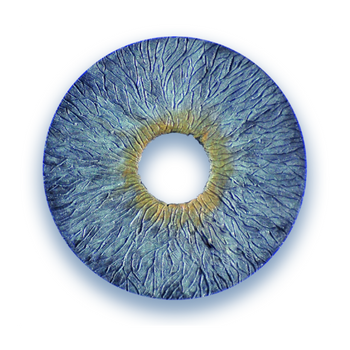 Human Optics